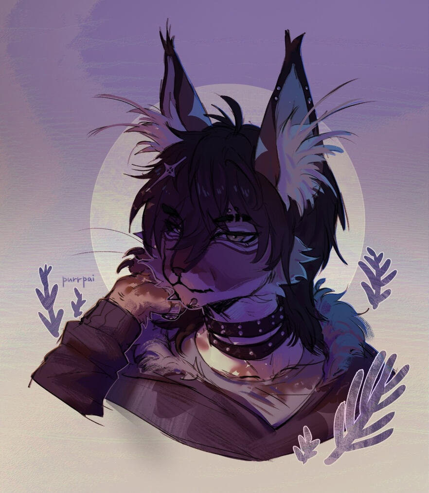 Sketch